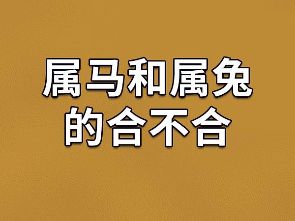 属鼠兔马女生易受伤：如何守护真心，珍惜自己