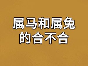 属鼠兔马女生易受伤：如何守护真心，珍惜自己