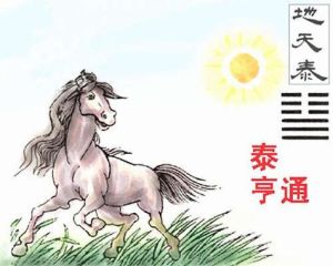 11月22日：鼠兔马猴运势大旺，否极泰来时机到！
