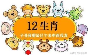 秋冬运势旺：鼠牛蛇猴财运亨通，努力赢未来！