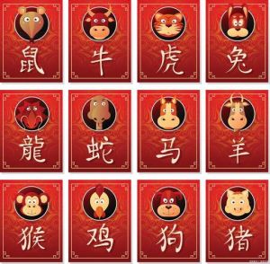 2023年鼠牛虎龙生肖运势：桃花财运双丰收