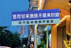 摩羯金牛：勤奋星座的苦尽甘来人生路