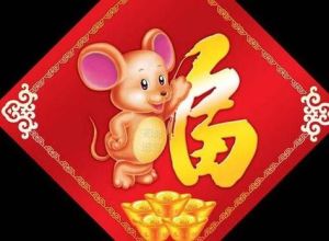 属鼠人的三大贵人：智慧启航事业共赢人生知己