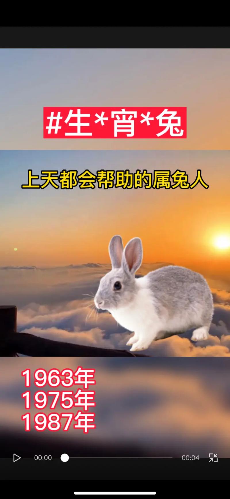 兔生肖三贵人之道：智慧忠诚与机遇，成就辉煌人生