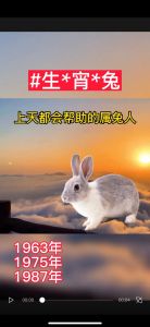 兔生肖三贵人之道：智慧忠诚与机遇，成就辉煌人生