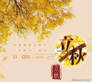 2024年11月8日运势详解：宝宝福气时辰及生肖吉凶提示