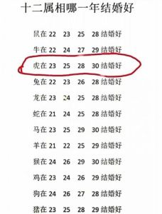 生肖龙兔猴夫妻：幸福家庭高颜值后代秘诀