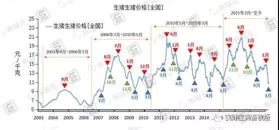 属猪人风水运势：时辰特点与提升之道