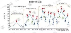 属猪人风水运势：时辰特点与提升之道