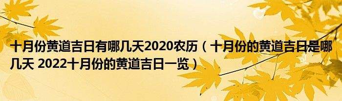11月8日黄历吉凶：丙火旺盛日宜军事执法，忌社交财务，健康法律需注意