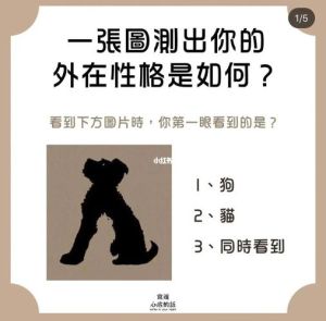 趣味心理测试：揭秘你的价值取向与生活品质提升！