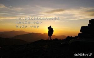 牛龙马生肖精神：勤勉力量与远大志向的传奇力量