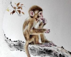 属猴人：热情开朗的多面手，团队中的中流砥柱