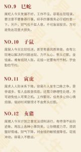 十二生肖甲辰年运势详解：事业财运健康指南