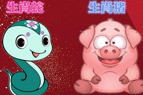 11月运势：属牛蛇猪财富丰盈，把握时机迎美好未来