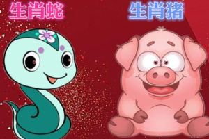 11月运势：属牛蛇猪财富丰盈，把握时机迎美好未来
