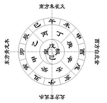 11月8日干支影响：卯兔午马未羊应对策略