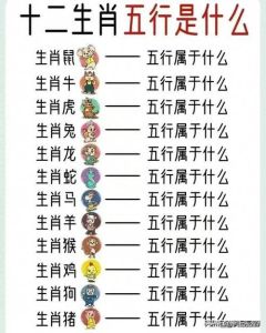 十二生肖婚姻：兔羊猪特质受欢迎，但合适伴侣需个性匹配