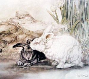 十二生肖特质解析：鼠牛蛇猪成功之道