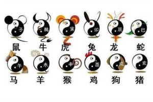 四生肖智慧生活：赢得尊重，贵人相助