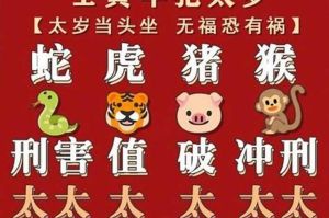 2025年属猪运势起伏解析