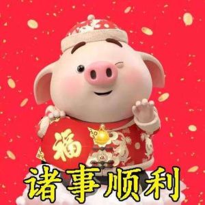 2019猪年运势：学业佳财富足感情顺，健康提示