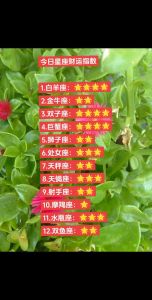 11月财运星座盘点：金牛狮子天蝎处女家族兴旺秘诀