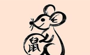 2024生肖翻身年：鼠龙羊猴大逆袭，共创美好未来