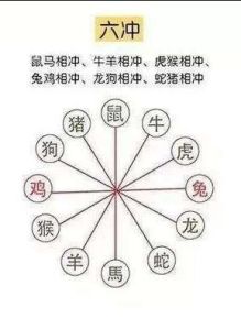 生肖抗压能力揭秘：四生肖如何在压力中找到机遇
