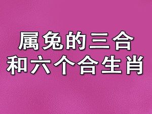 分手后痴迷爱情的三个生肖：属兔属狗属猪