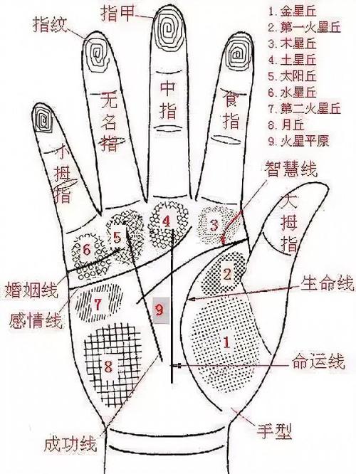 掌纹解码：财富智慧与幸运之星预示命运