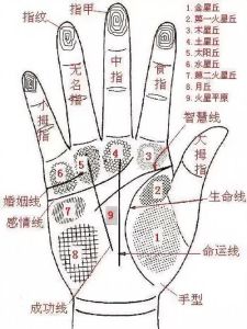 掌纹解码：财富智慧与幸运之星预示命运
