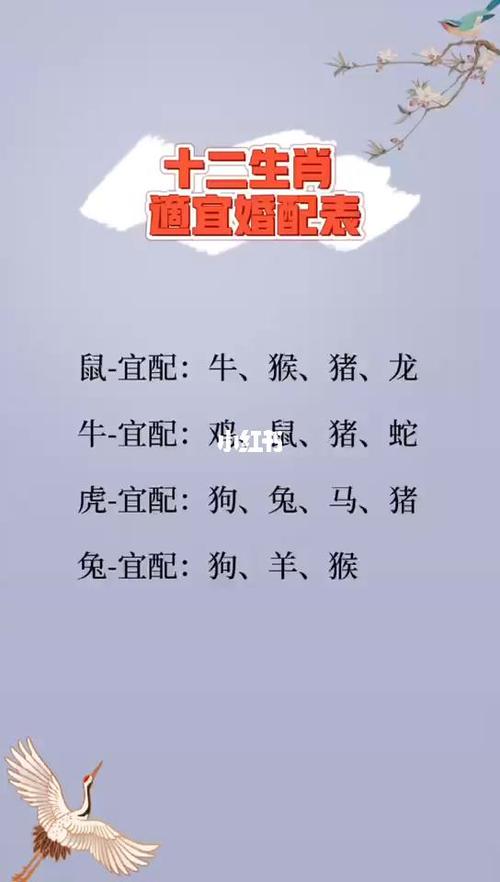 11月9日生肖运势：合作宜鼠牛虎，平和宜马羊猴