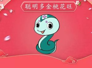 生肖桃花运：龙蛇猴旺，打扮真诚招好缘