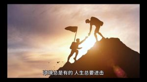 逆境绽放：兔羊鸡生肖女性的坚韧人生