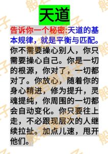 猴蛇性格解析：多元与平衡的艺术