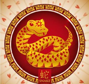 一周运势揭秘：龙猪蛇大吉，努力实现成功！