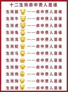 生肖星座贵人助力成功揭秘