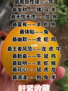 生肖星座财富启示：平和乐观生活态度吸引好运