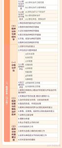 创伤依恋心理治疗实务：夏皮罗揭秘个性化治疗策略