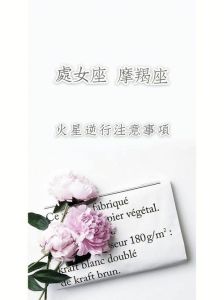 2025年处女座摩羯双子运势飙升：学业事业双丰收指南