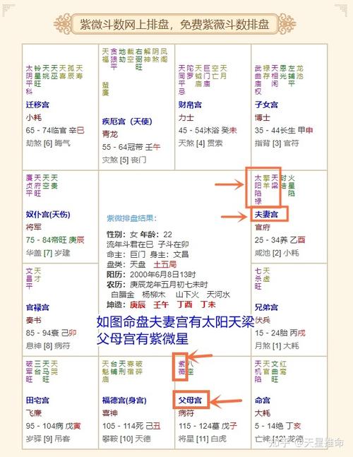 紫微星盘双星组合解析：成就秘诀与人际智慧