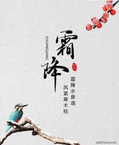 2024霜降生肖运势：鼠牛兔蛇逆袭腾飞！
