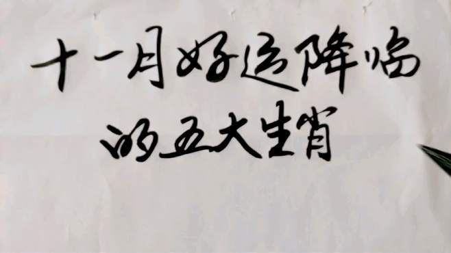 农历十一月：生肖好运降临，把握时机迎幸福