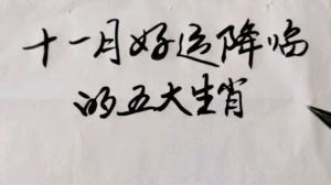 农历十一月：生肖好运降临，把握时机迎幸福