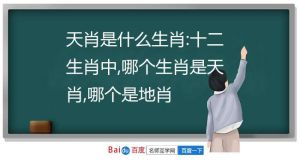 鼠龙马猴财运高峰：四大生肖把握机遇赢成功