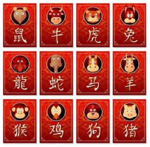 2025好运年：龙猴牛蛇腾飞，所有生肖迎幸福