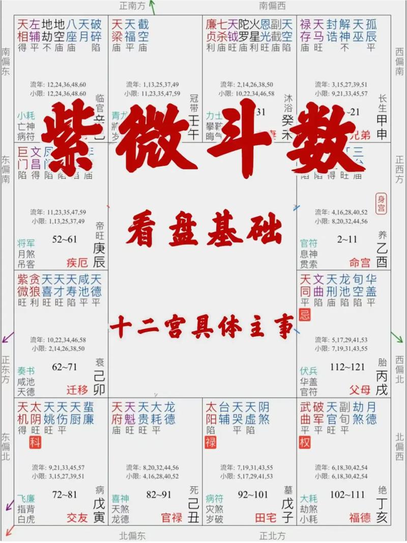 寻求未来：学习力决定紫微命格成就，突破竞争重围