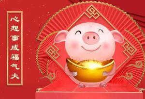 生肖运势揭秘：鼠龙猪财运旺，好运需努力！