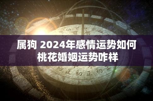2025年属狗运势大丰收：事业财运旺，桃花婚姻佳